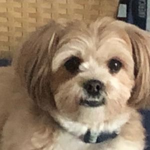 Meet your Posher, Tim